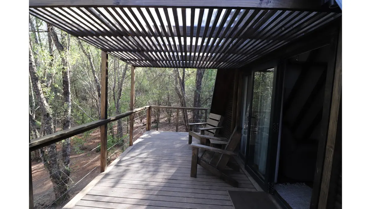 Treehaven Retreat photo 5