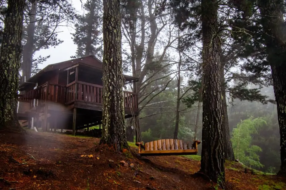 The Cabins Hogsback photo 5