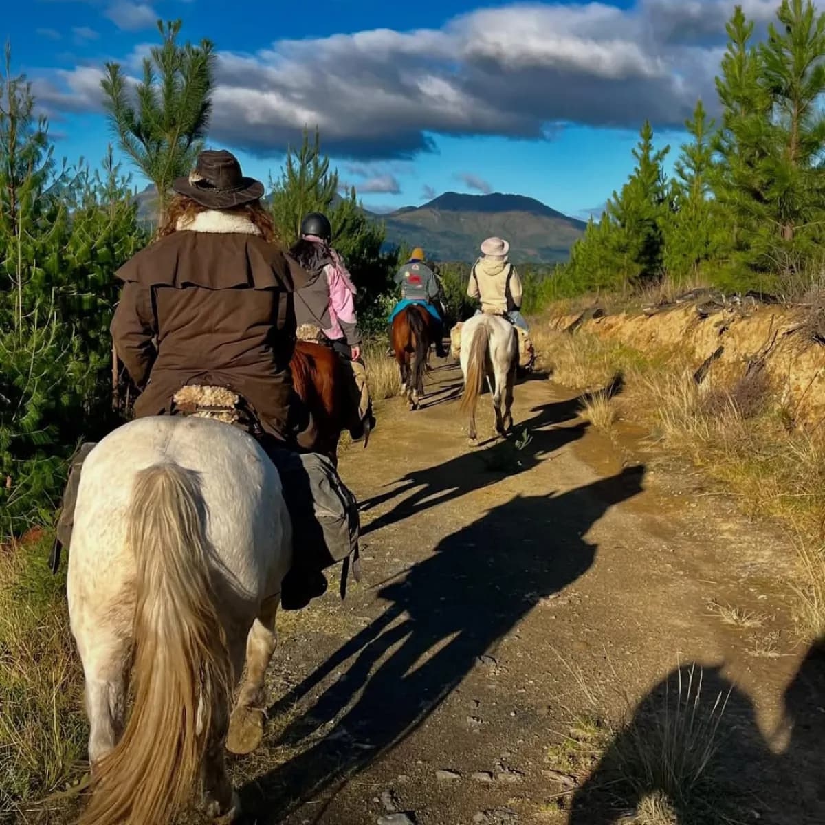 Terra Khaya - Horse Trails photo 5