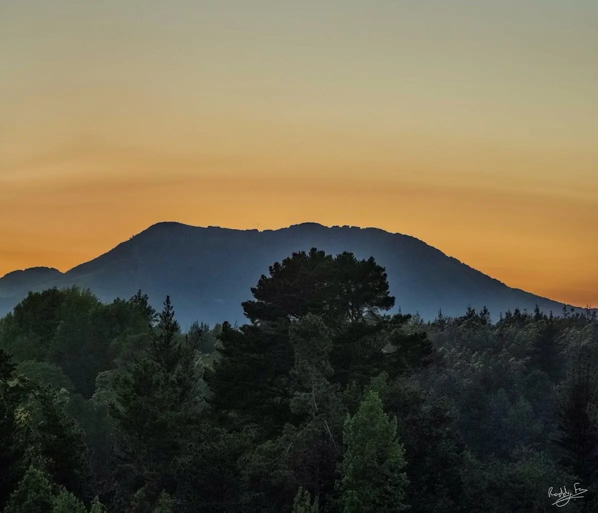 Wild Fox Hill photo 5