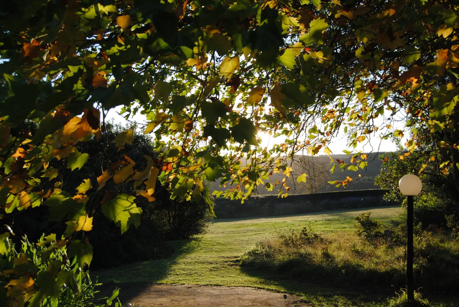 The Edge Cliff Path & Viewpoints photo 1