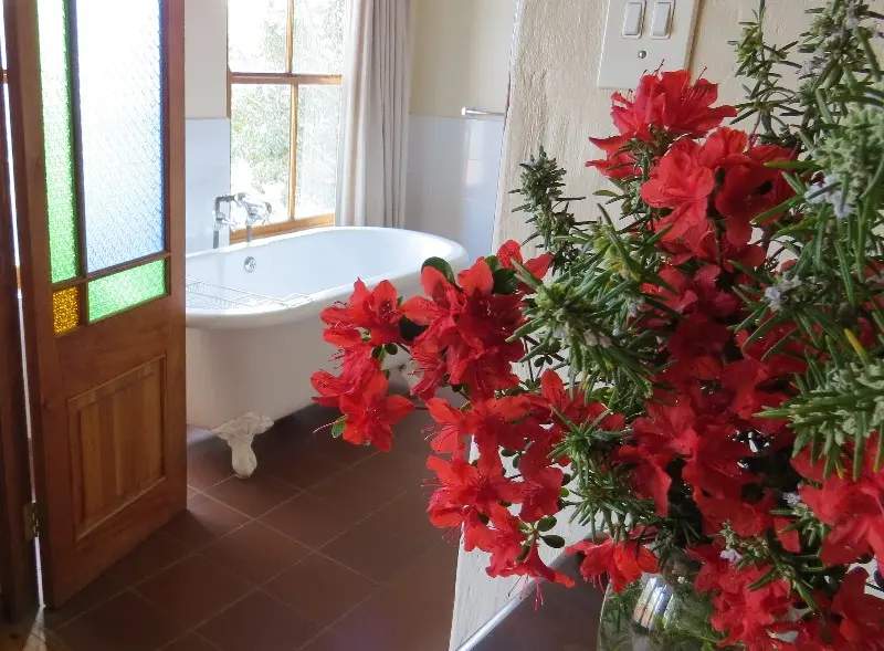 Garden Rooms photo 2